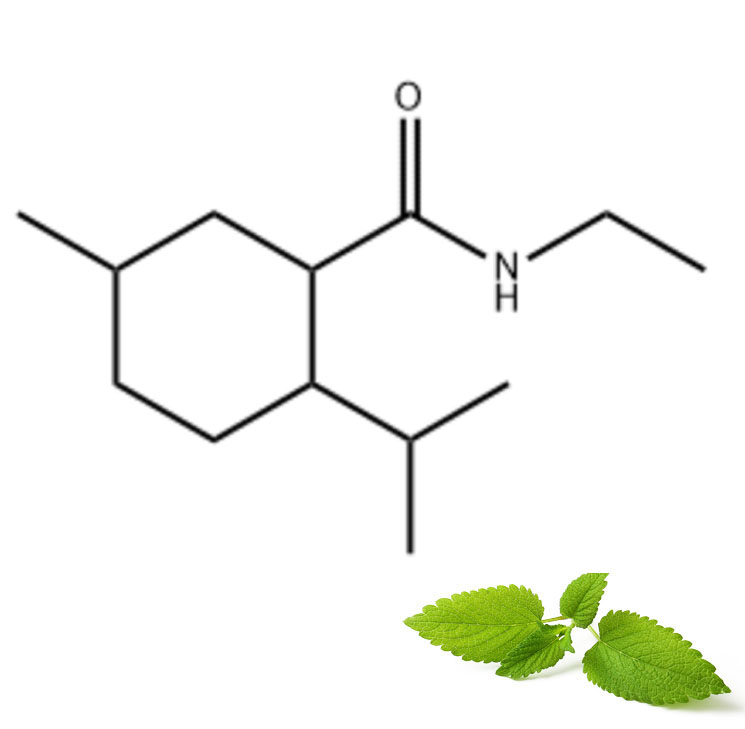 Hozte-Agentea-WS-3